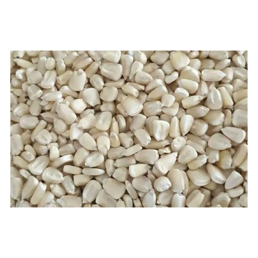50kg Maize grain