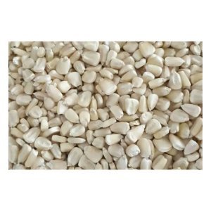 50kg Maize grain